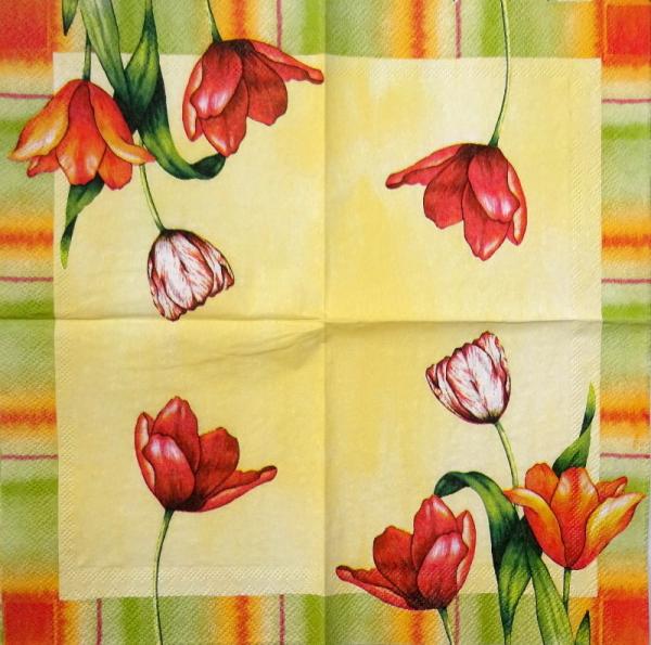 135 Tulpen - 3-lagig